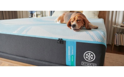 luxebreezemediumhybrid2